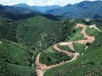 Cần bán 18000m2 đất có hồ đầu tư sinh lời tốt chỉ 280tr/1000m2 Cần bán 18000m2 đất có hồ đầu tư sinh lời tốt chỉ 280tr/1000m2