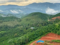 Cần lô đất 3 mẫu 2 nhìn thấy toàn thành phố Bảo Lộc có thác nước Cần lô đất 3 mẫu 2 nhìn thấy toàn thành phố Bảo Lộc có thác nước