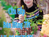 Cần tuyển gấp nhân viên bán hàng thời vụ dịp Tết Cần tuyển gấp nhân viên bán hàng thời vụ dịp Tết