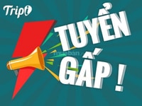 Tuyển gấp 30 lao động thời vụ đi làm ngay dịp Tết Tuyển gấp 30 lao động thời vụ đi làm ngay dịp Tết