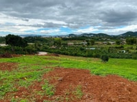 Đất thổ cư Nam Ban- Lâm Đông có sổ riêng