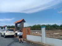 Đất xã tam thôn hiệp, nhánh xương cá đường tam thôn hiệp, cần giờ Đất xã tam thôn hiệp, nhánh xương cá đường tam thôn hiệp, cần giờ