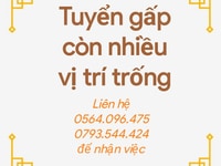Tuyển nhân viên bán hàng tại cửa hàng Q.Bình Tân Tuyển nhân viên bán hàng tại cửa hàng Q.Bình Tân