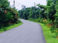Bán đất vườn, có sẵn cây ăn trái, gần UBND Hàm Chính, Bán đất vườn, có sẵn cây ăn trái, gần UBND Hàm Chính,