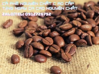 Cà phê hạt nguyên chất giá sỉ tại Hồ Chí Minh Cà phê hạt nguyên chất giá sỉ tại Hồ Chí Minh