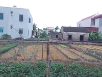 Bán đất Đoàn Xá Kiến Thụy giá 450 triệu Bán đất Đoàn Xá Kiến Thụy giá 450 triệu