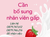 Quận Bình Tân tuyển gấp - đi làm ngay Quận Bình Tân tuyển gấp - đi làm ngay