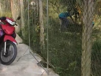 Bán đất ở mỹ tho,TG,chínhchủ SH,dt 1002m2 giá 1 tỷ 300 triệu Bán đất ở mỹ tho,TG,chínhchủ SH,dt 1002m2 giá 1 tỷ 300 triệu