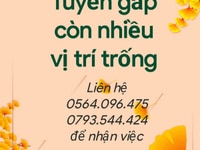Công việc bán thời gian dành cho người lớn tuổi, sinh viên Công việc bán thời gian dành cho người lớn tuổi, sinh viên