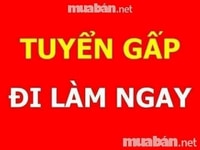 Cần gấp nam /nữ bán hàng trực tiếp tại siêu thị mini. Cần gấp nam /nữ bán hàng trực tiếp tại siêu thị mini.