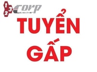 Tuyển gấp 2 nhân viên đi làm ngay Tuyển gấp 2 nhân viên đi làm ngay
