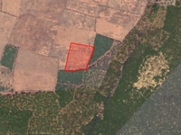 Bán lô đất siêu đẹp 2 ha Hồng Thái giá 70.000đ/m2 cách đường nhựa 400m Bán lô đất siêu đẹp 2 ha Hồng Thái giá 70.000đ/m2 cách đường nhựa 400m