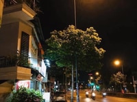 Bán gấp nhà mặt tiền Phan Văn Trị, Bình Thạnh Bán gấp nhà mặt tiền Phan Văn Trị, Bình Thạnh