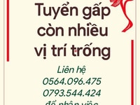 Nhận nam/nữ làm việc trong quầy Bách Hoá Mini. Nhận nam/nữ làm việc trong quầy Bách Hoá Mini.