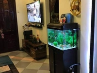 Bán nhà phân lô Huỳnh Thúc Kháng, ô tô 7 chỗ đỗ cửa, 30m2, 4 tầng Bán nhà phân lô Huỳnh Thúc Kháng, ô tô 7 chỗ đỗ cửa, 30m2, 4 tầng