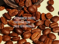 Cà phê robusta, cà phê hạt robusta loại 1 xuất khẩu chỉ với giá sỉ Cà phê robusta, cà phê hạt robusta loại 1 xuất khẩu chỉ với giá sỉ