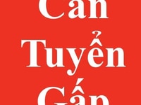 Cần tuyển thêm nam giao hàng sức khỏe tốt, nhanh Cần tuyển thêm nam giao hàng sức khỏe tốt, nhanh