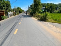 Ngộp Cần ra 1 Lô Đất Đường Nhựa Phước Trạch Gò Dầu Tây Ninh SHR Ngộp Cần ra 1 Lô Đất Đường Nhựa Phước Trạch Gò Dầu Tây Ninh SHR