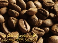 Cung cấp cà phê hạt Arabica Cầu Đất tại Tp HCM Cung cấp cà phê hạt Arabica Cầu Đất tại Tp HCM