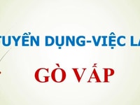 Việc làm thêm cho sinh viên quận Gò Vấp Việc làm thêm cho sinh viên quận Gò Vấp