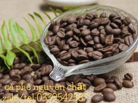 Cung cấp cà phê rang mộc nguyên chất tại tp hcm Cung cấp cà phê rang mộc nguyên chất tại tp hcm