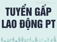 Siêu thị cần bổ sung thêm 02 vị trí bán hàng, thu ngân tại quầy Siêu thị cần bổ sung thêm 02 vị trí bán hàng, thu ngân tại quầy