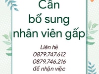 Siêu Thị Mini -Tuyển Dụng Vị Trí: Bán Hàng, Sắp xếp hàng Siêu Thị Mini -Tuyển Dụng Vị Trí: Bán Hàng, Sắp xếp hàng
