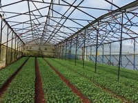 Bán gấp đất NN rộng đường Trần Văn Côi, Đà Lạt 1400m2 – BĐS Đà Lạt 24h Bán gấp đất NN rộng đường Trần Văn Côi, Đà Lạt 1400m2 – BĐS Đà Lạt 24h
