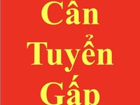Tuyển nam / nữ bán hàng tại siêu thị mini,không tiếp thị. Tuyển nam / nữ bán hàng tại siêu thị mini,không tiếp thị.