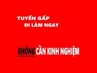 Tuyển Gấp Tài Xế + Lơ Xe Và phụ kho đi làm ngay, bao ăn ở, lương cao Tuyển Gấp Tài Xế + Lơ Xe Và phụ kho đi làm ngay, bao ăn ở, lương cao