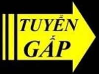 Cần tuyển nhân viên nam/nữ thu ngân bán hàng tết tại siêu thị Cần tuyển nhân viên nam/nữ thu ngân bán hàng tết tại siêu thị