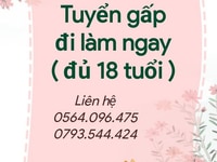 Tuyển gấp nhân viên bán hàng trực tiếp tại cửa hàng tiện lợi Tuyển gấp nhân viên bán hàng trực tiếp tại cửa hàng tiện lợi