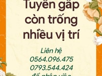 Tuyển trực tiếp nhân viên nam nữ ( nhanh nhẹn và trung thực ) Tuyển trực tiếp nhân viên nam nữ ( nhanh nhẹn và trung thực )