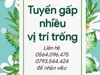 Tuyển gấp nhân viên bán hàng vui vẽ hoạt bát Tuyển gấp nhân viên bán hàng vui vẽ hoạt bát