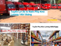 Tuyển 30 Tài Xế B2 - C - D và 40 Bốc Xếp Kho + 25 Lơ Xe Tải Nhẹ Tuyển 30 Tài Xế B2 - C - D và 40 Bốc Xếp Kho + 25 Lơ Xe Tải Nhẹ