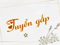 Cần gấp 2 bạn nam nữ phụ bán hàng tại quầy Cần gấp 2 bạn nam nữ phụ bán hàng tại quầy