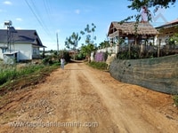 Đất diện tích rộng, view rừng thông bao quát thích hợp kinh doanh Đất diện tích rộng, view rừng thông bao quát thích hợp kinh doanh
