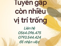 Cần tuyển gấp 4 nhân viên bán hàng Cần tuyển gấp 4 nhân viên bán hàng