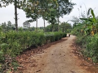 Cần bán 2.370 m2 đất mặt tiền gần trạm dừng chân cao tốc Long Thành Cần bán 2.370 m2 đất mặt tiền gần trạm dừng chân cao tốc Long Thành