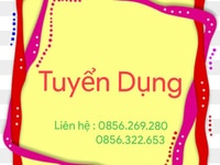 Phỏng Vấn : Nhận việc ngay ( Không tốn phí ) Phỏng Vấn : Nhận việc ngay ( Không tốn phí )