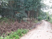 Cần bán 3.000 m2 đất mặt tiền đường bê tông gần trạm dừng chân cao tốc Cần bán 3.000 m2 đất mặt tiền đường bê tông gần trạm dừng chân cao tốc