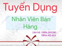 Tuyển nhân viên đóng gói hàng hóa Tuyển nhân viên đóng gói hàng hóa