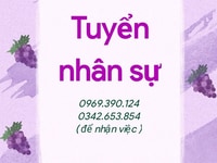 Tuyển 02 Nam/Nữ bán hàng tiêu dùng tại chỗ Không tiếp thị Tuyển 02 Nam/Nữ bán hàng tiêu dùng tại chỗ Không tiếp thị