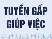 Tuyển nữ giúp việc nhà ca tối tại Nam Từ Liêm Tuyển nữ giúp việc nhà ca tối tại Nam Từ Liêm