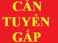 Tuyển gấp tài xế lái xe bán tải, có kinh nghiệm, ưu tiên rành đường