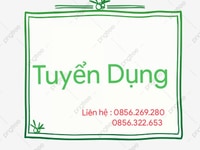 Tuyển nhân viên gấp - Có phụ cấp hàng tháng Tuyển nhân viên gấp - Có phụ cấp hàng tháng