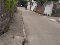 Cần bán lô đất Xã Đông Dư, Gia Lâm, Hà Nội. Cần bán lô đất Xã Đông Dư, Gia Lâm, Hà Nội.