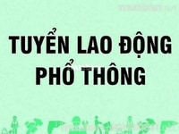Tuyển gấp làm thêm thời vụ cuối năm tại Bình Dương Tuyển gấp làm thêm thời vụ cuối năm tại Bình Dương