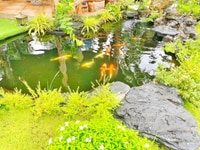 Nhà vườn ven biển Phước Hải Huyện Đất Đỏ 450m Nhà vườn ven biển Phước Hải Huyện Đất Đỏ 450m