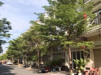 Cho thuê giá rẻ Nhà khu Cityland Trần Thị Nghĩ, ngay ngã 6 Gò Vấp Cho thuê giá rẻ Nhà khu Cityland Trần Thị Nghĩ, ngay ngã 6 Gò Vấp